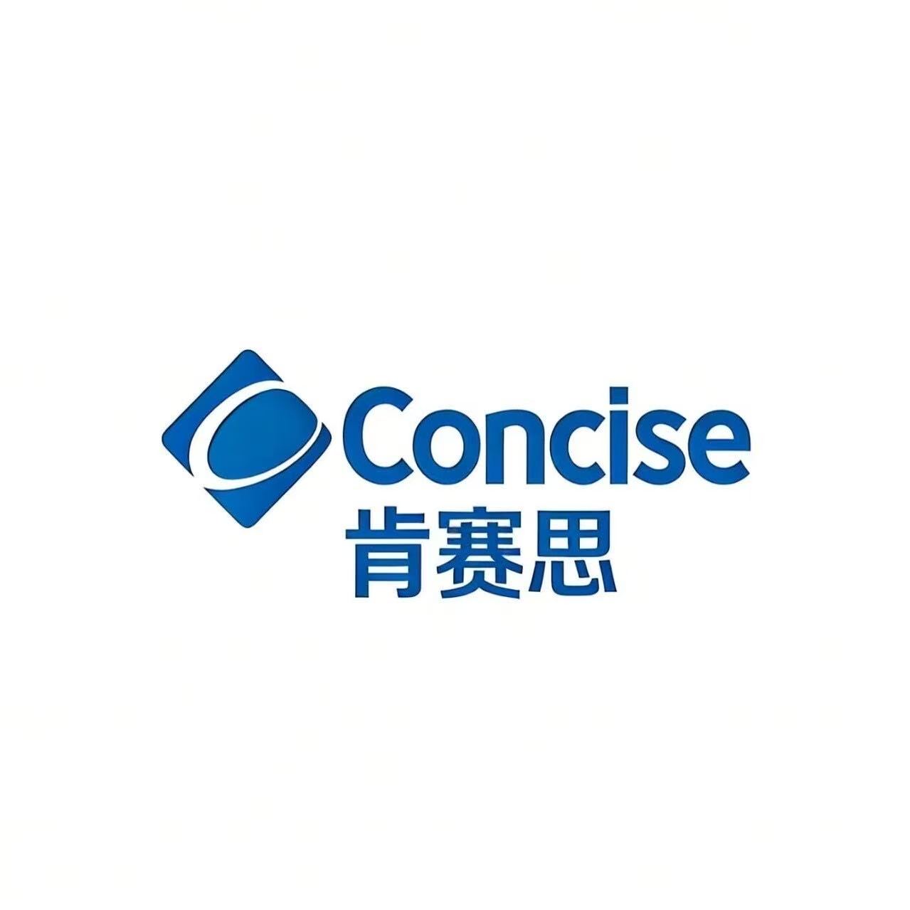 肯赛思 Concise Logo